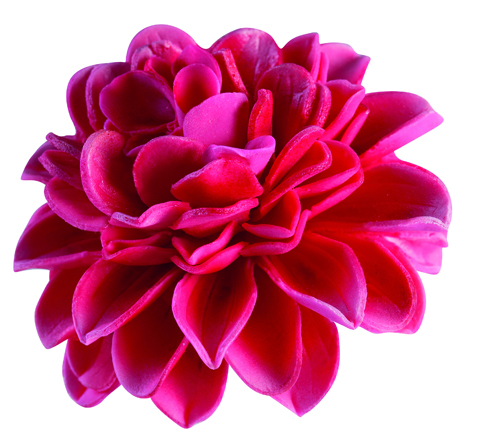 Ausstecher Dahlie