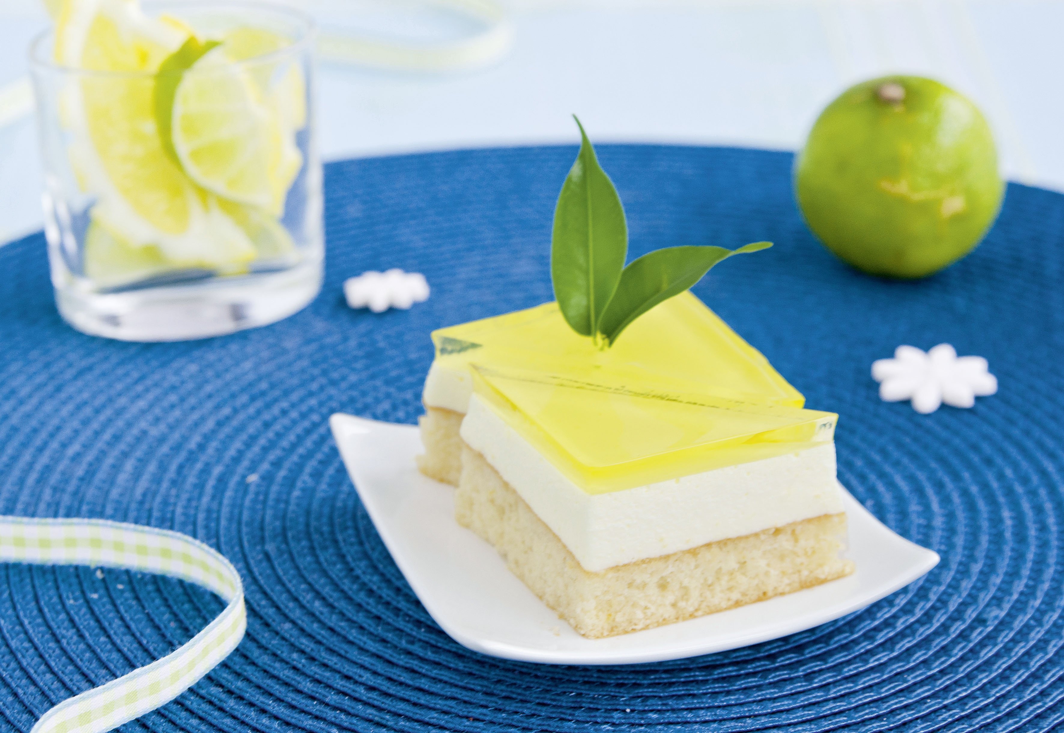 Backrahmen Rechteck Moos - verstellbar - Höhe 7 cm