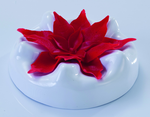 Ausstecher Weihnachtsstern Set