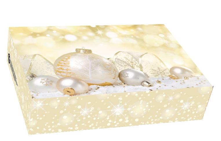 Keks- und Mehlspeisschachtel Weihnachten – 22 × 15 × 5 cm 