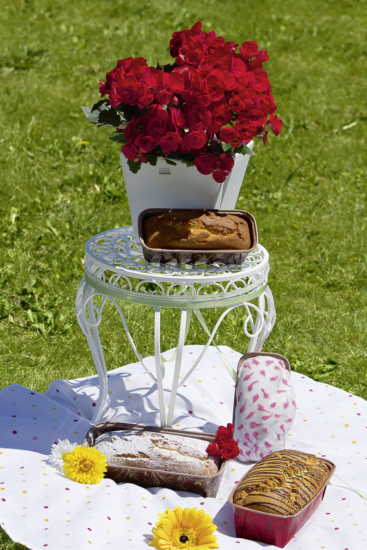 Papier Backform Kastenform groß - 6 Stück