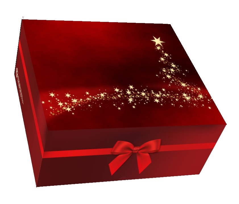 Keksschachtel Weihnachten XXL 22x20,3x9,7 cm  