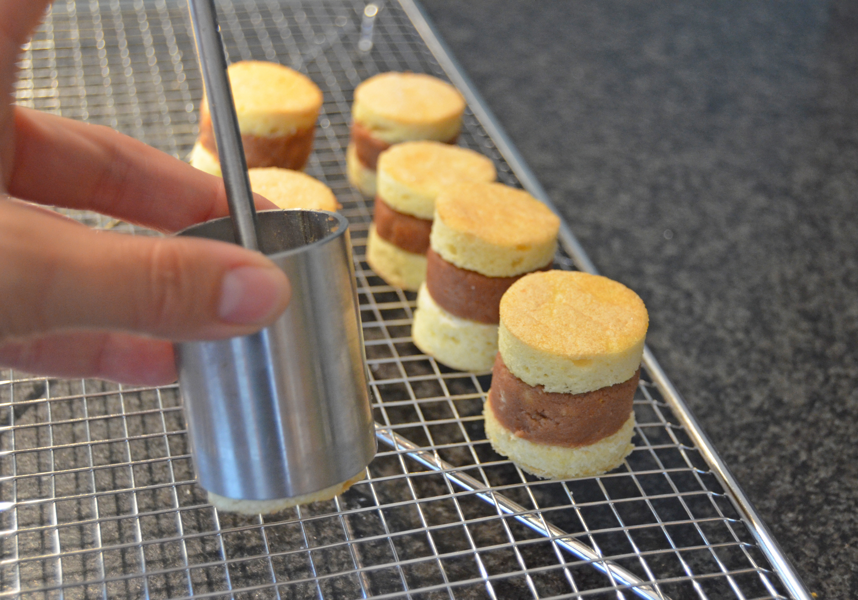 Petit-Fours & Punschkrapferl Formen rund mit Stößel – Perfekte Mini-Desserts