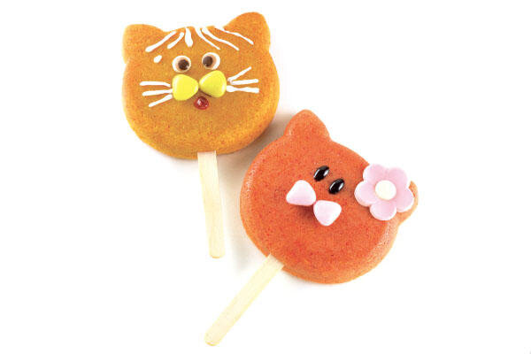 Niedliche Katzenform für kreative Eis- und Kuchenkreationen